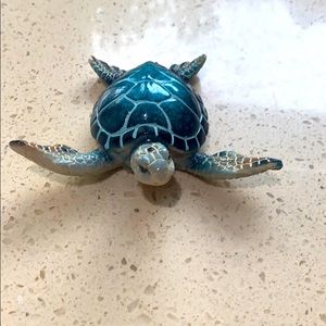 Adorable Blue Sea Turtle